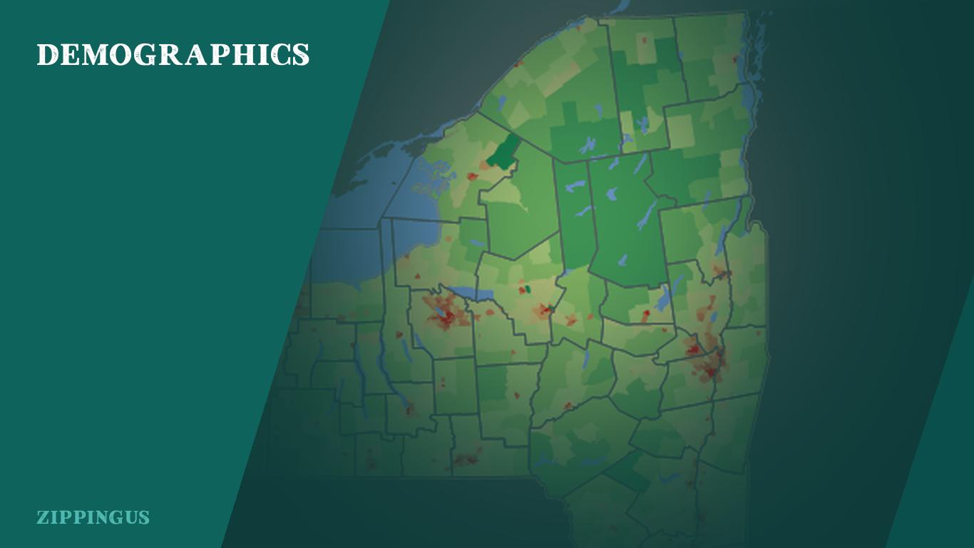 Demographics of New York