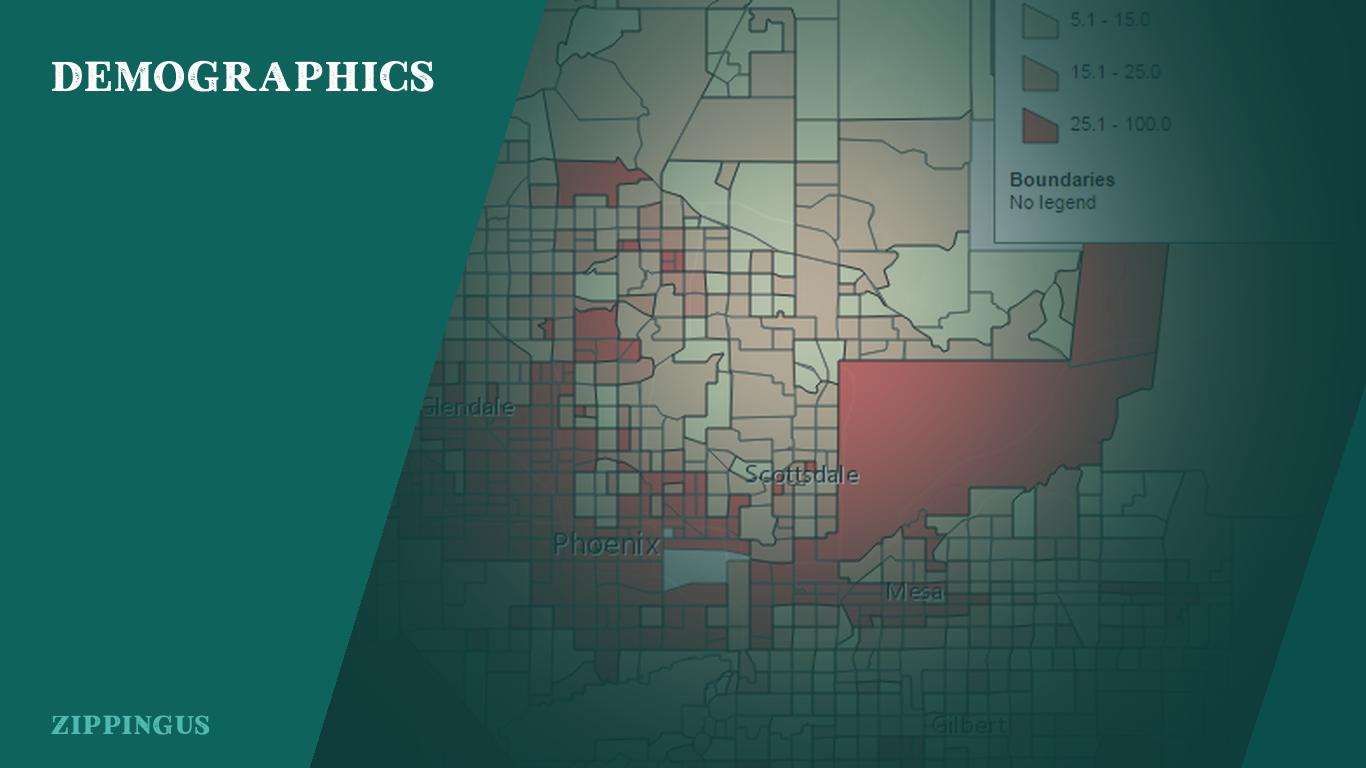 Demographics of Phoenix, AZ