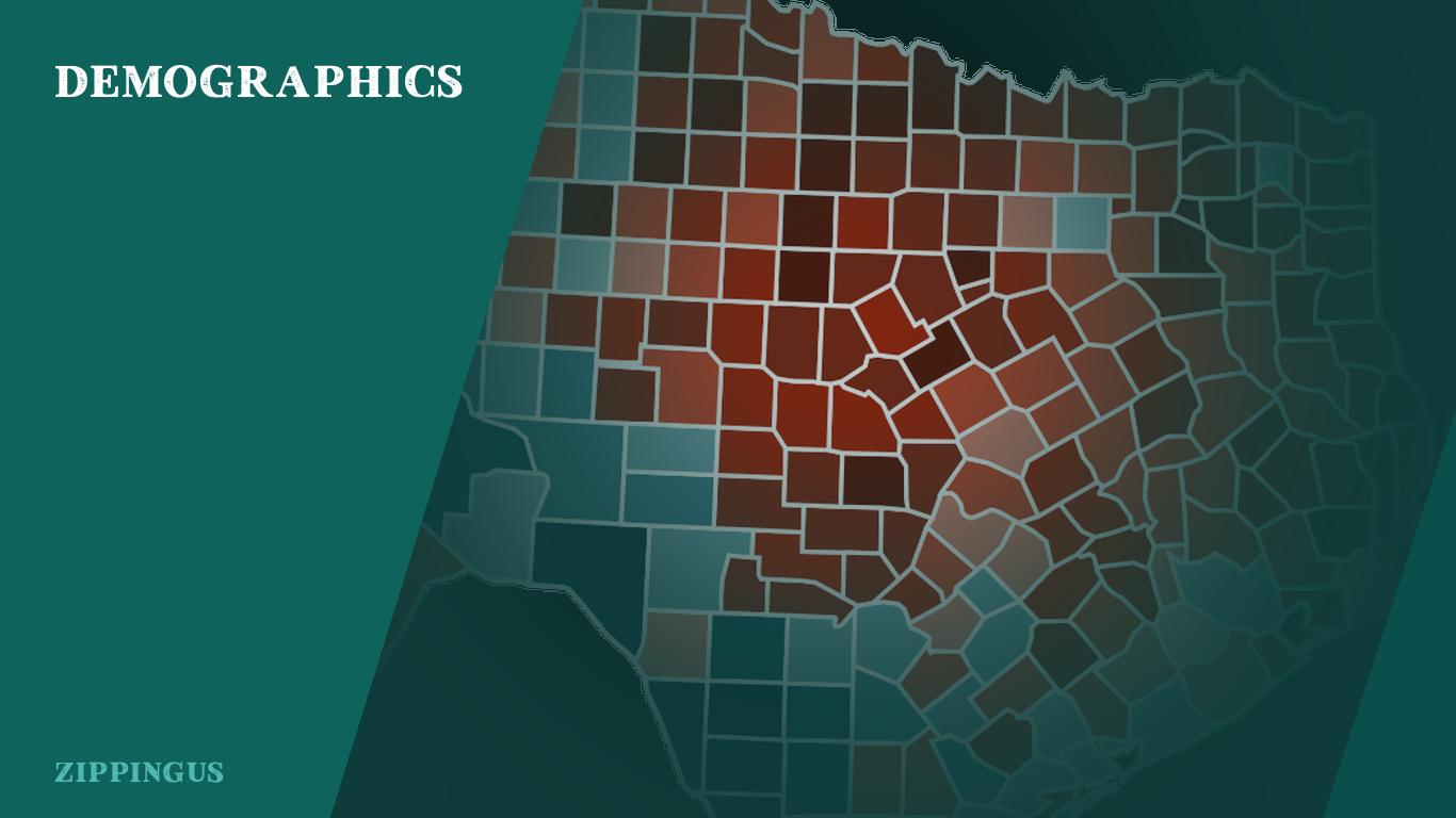 Demographics of Texas