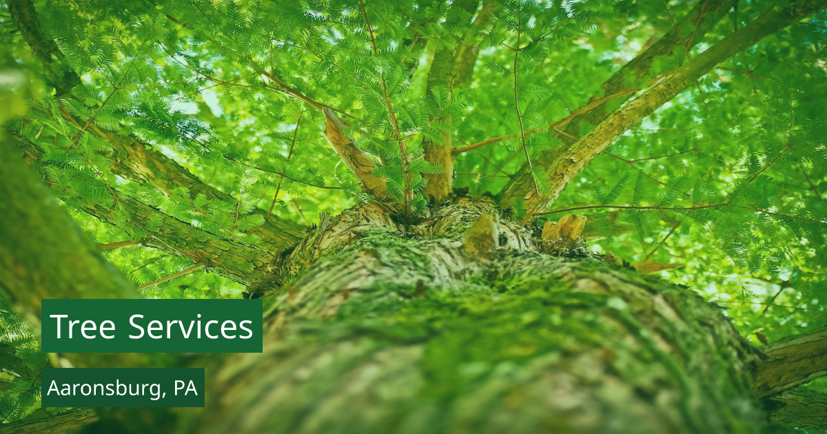 Best Tree Services in Aaronsburg, PA: Your Guide to Top Tree Care Experts